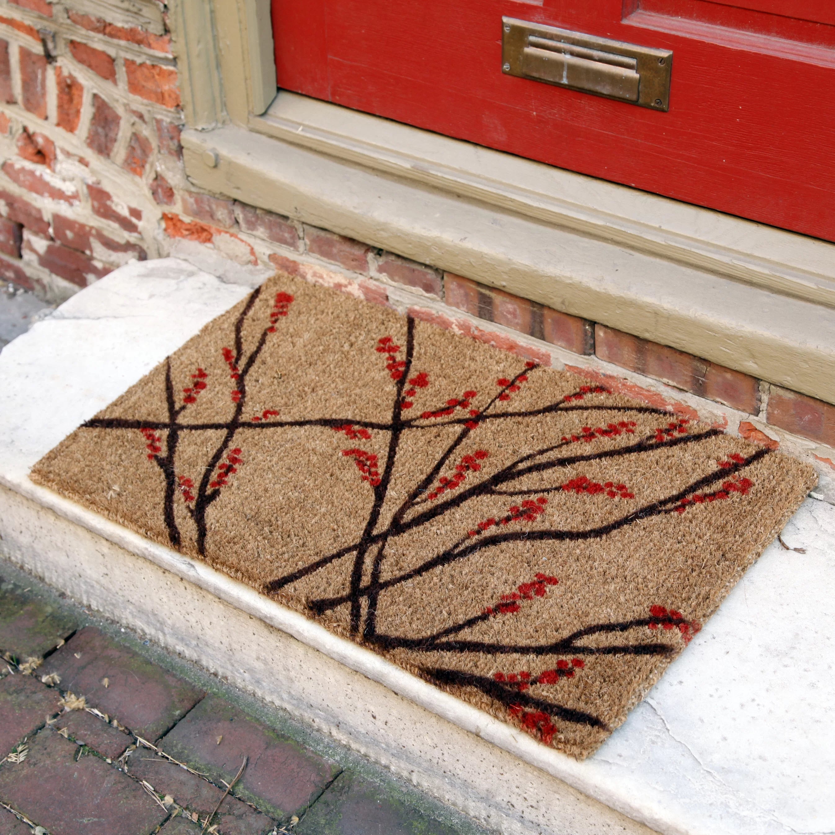 Can Doormats Get Rained On? Coco Mats N More