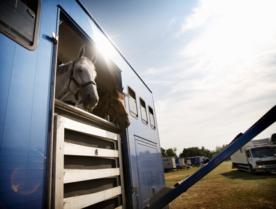 Expert Tips for Installing and Maintaining Horse Van Mats