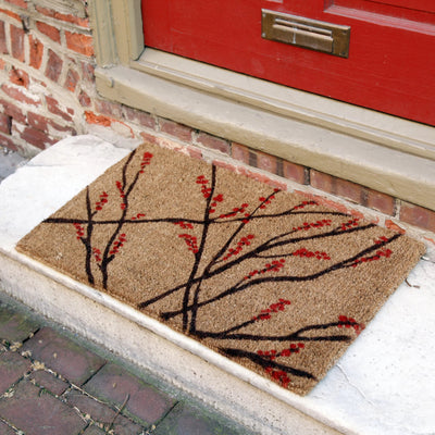 Can Doormats Get Rained On?