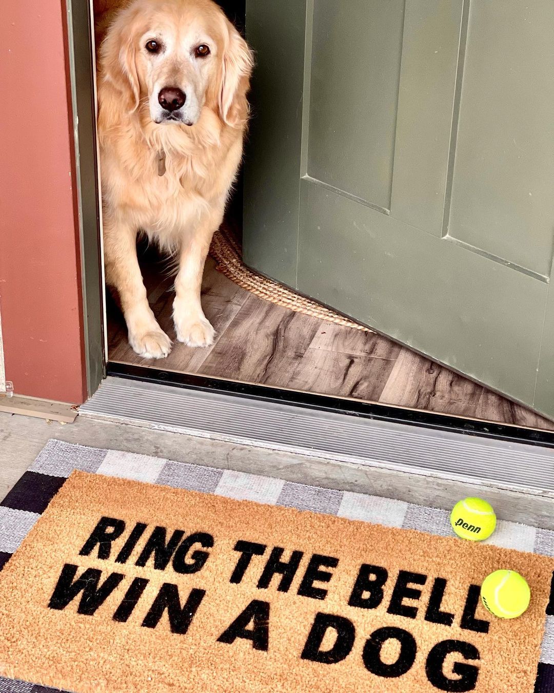 Ring Bell WIN DOG Coir good Doormat