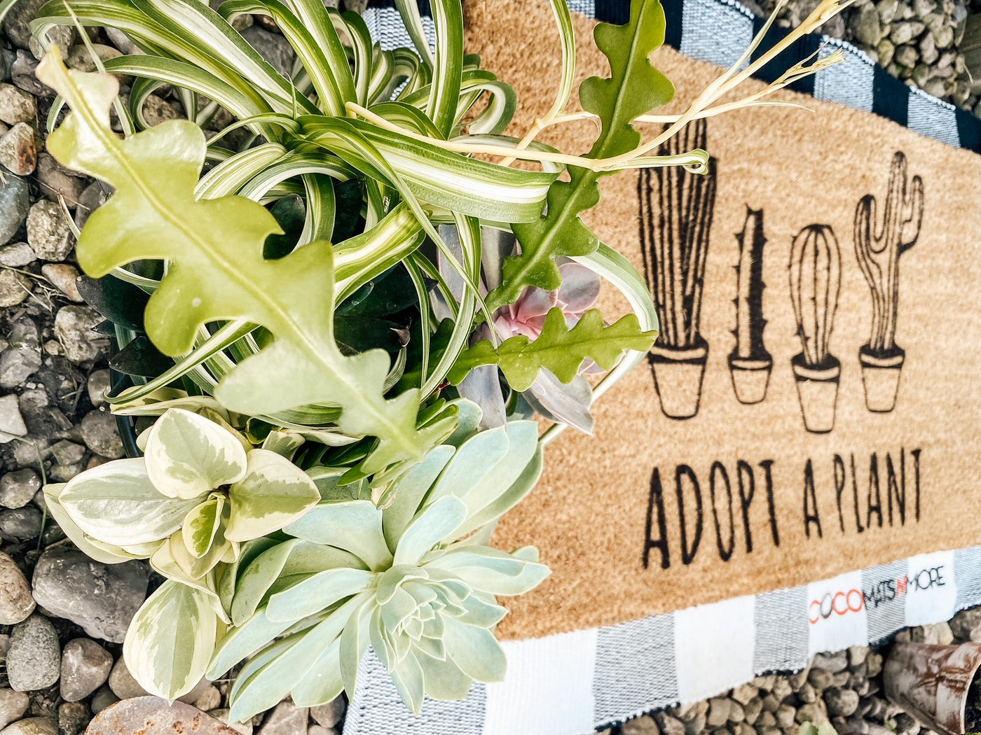 Adopt A Plant | Coco Mats N More